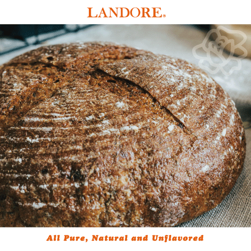 LANDORE Pumpkin Protein Isolate Powder - Halal & Kosher - 100% Pure